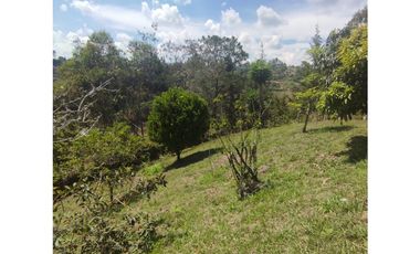 VENTA FINCA SAN VICENTE FERRER 15.900 mts2