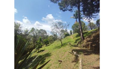 VENTA FINCA SAN VICENTE FERRER 15.900 mts2