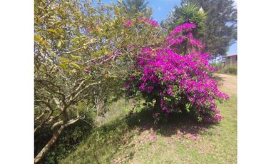 VENTA FINCA SAN VICENTE FERRER 15.900 mts2