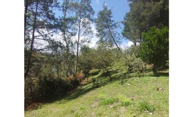 VENTA FINCA SAN VICENTE FERRER 15.900 mts2