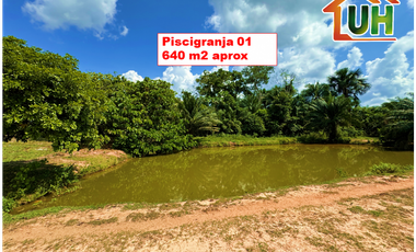 00607 - VENTA TERRENO RURAL CAMPO VERDE - 107 HA