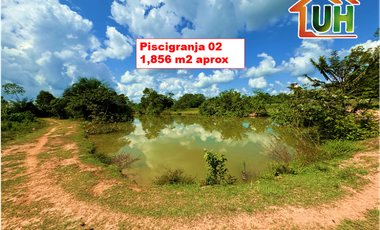 00607 - VENTA TERRENO RURAL CAMPO VERDE - 107 HA