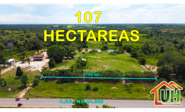 00607 - VENTA TERRENO RURAL CAMPO VERDE - 107 HA