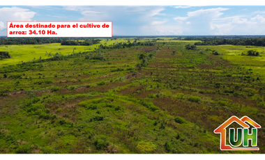 00607 - VENTA TERRENO RURAL CAMPO VERDE - 107 HA