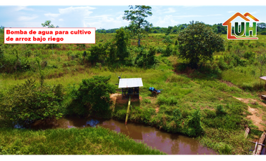 00607 - VENTA TERRENO RURAL CAMPO VERDE - 107 HA