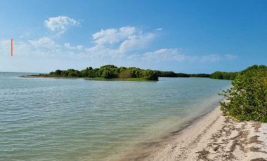 Vendo terreno frente mar en celestun( Yucatán)