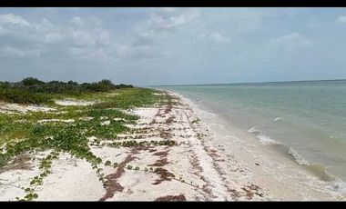 Vendo terreno frente mar en celestun( Yucatán)