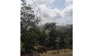 VENDO FINCA CHORRERA LOS MORTALES