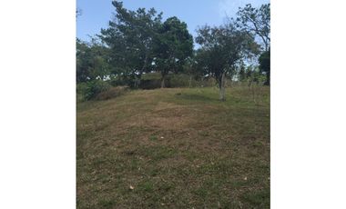 VENDO FINCA CHORRERA LOS MORTALES