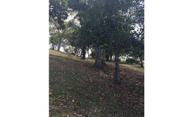VENDO FINCA CHORRERA LOS MORTALES