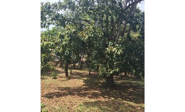 VENDO FINCA CHORRERA LOS MORTALES