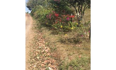 VENDO FINCA CHORRERA LOS MORTALES