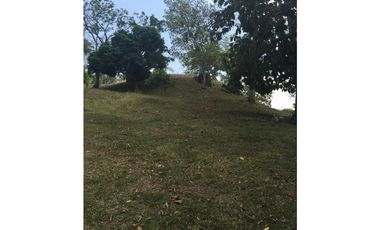 VENDO FINCA CHORRERA LOS MORTALES
