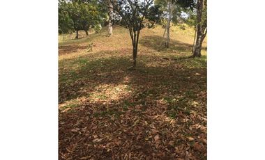 VENDO FINCA CHORRERA LOS MORTALES