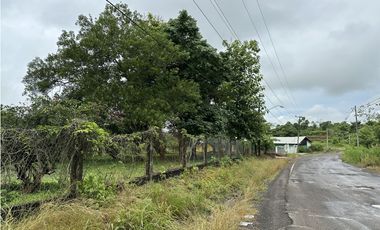 Se Vende Terreno de 8,000m2 en Altos del Espavé, La Chorrera