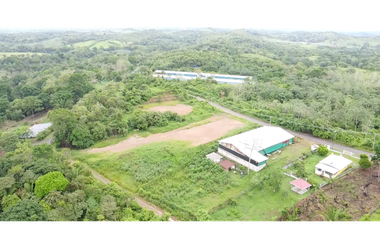 Se Vende Terreno de 8,000m2 en Altos del Espavé, La Chorrera