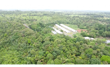 Se Vende Terreno de 8,000m2 en Altos del Espavé, La Chorrera