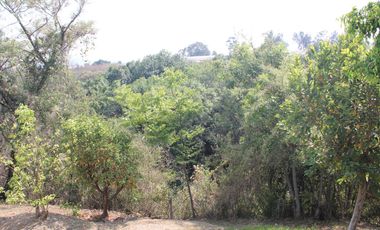 Finca en  venta Zumpahuacan, Estado de Mexico