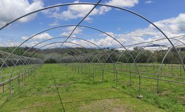 Finca en  venta Zumpahuacan, Estado de Mexico