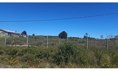 Parcela cercana sector Alerce, Puerto Varas