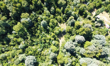 Parcela en Venta en Camino a Volcán Osorno