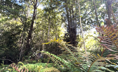Parcela en Venta en Camino a Volcán Osorno