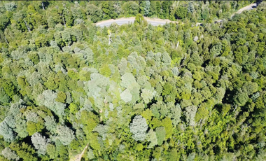 Parcela en Venta en Camino a Volcán Osorno