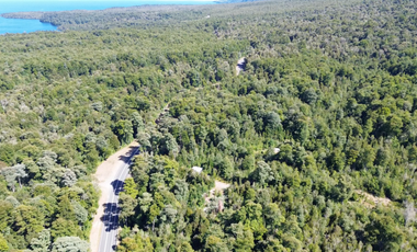 Parcela en Venta en Camino a Volcán Osorno