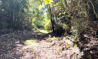 Parcela en Venta en Camino a Volcán Osorno