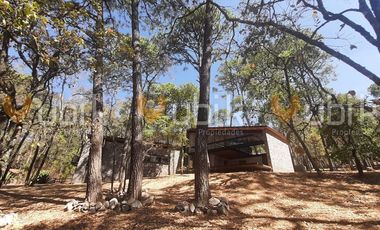 PINARES DE TAPALPA -  CABAÑA MODERNA ECOLOGICA TERRENO MUY ARBOLADO TAPALPA
