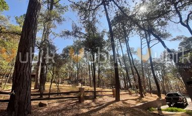 PINARES DE TAPALPA -  CABAÑA MODERNA ECOLOGICA TERRENO MUY ARBOLADO TAPALPA