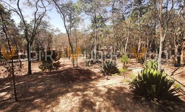 PINARES DE TAPALPA -  CABAÑA MODERNA ECOLOGICA TERRENO MUY ARBOLADO TAPALPA