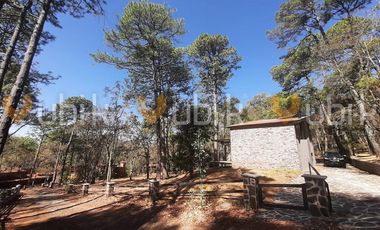 PINARES DE TAPALPA -  CABAÑA MODERNA ECOLOGICA TERRENO MUY ARBOLADO TAPALPA