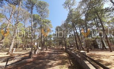 PINARES DE TAPALPA -  CABAÑA MODERNA ECOLOGICA TERRENO MUY ARBOLADO TAPALPA