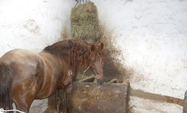VENTA de CASAS en LA CALERA