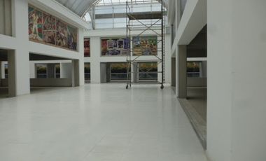 ARRIENDO de LOCALES en EL ROSAL