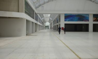 ARRIENDO de LOCALES en EL ROSAL