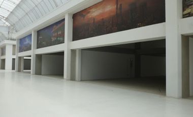 ARRIENDO de LOCALES en EL ROSAL