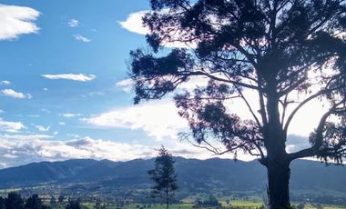 VENTA de LOTES en LA CALERA