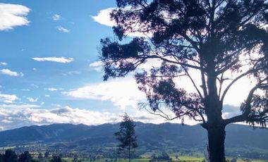 VENTA de LOTES en LA CALERA