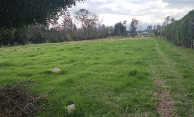 ARRIENDO de CASAS en SIBERIA