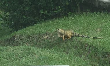 VENTA de CASAS en ANAPOIMA