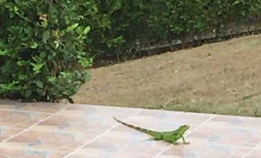 VENTA de CASAS en ANAPOIMA