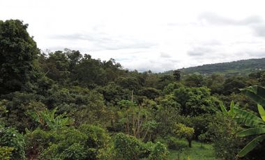 VENTA de FINCAS en MESITAS