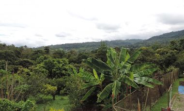 VENTA de FINCAS en MESITAS