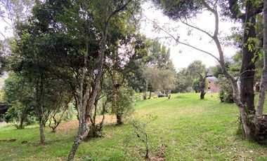 VENTA de CASAS en LA CALERA
