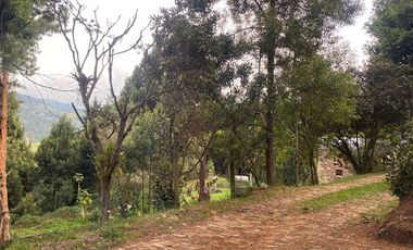VENTA de CASAS en LA CALERA