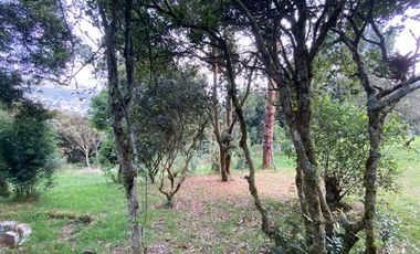VENTA de CASAS en LA CALERA