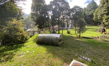 VENTA de CASAS en LA CALERA