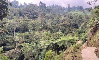 VENTA de FINCAS en SILVANIA